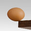 Edged Egg