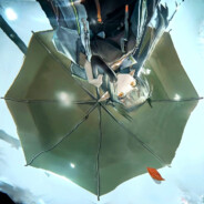 ........。。。。。。。