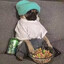 偷鱼的猫先生