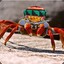 Jamaican-Crab