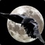 NightraveN