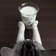 小番茄