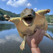 长矛沾屎沾谁谁屎