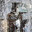 [TRP] Ned Kelly