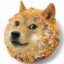 DessertDoge