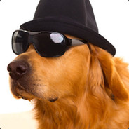 FunWoof le woof assuré