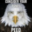 consider ur pants PEED