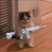 KAT
