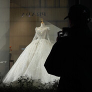 深情的突破手小牛