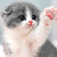 шлюшка хохотушка