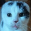 4b3cb70d332fbf782cf3fe68767173d7af2f74d8 medium
