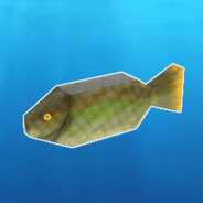 Carp4