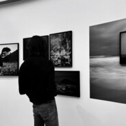 我很菜先打我队友