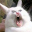 Eliaukه٥