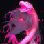 Snake †