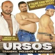 Ursos grandes, peludos e mansos