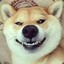 修幽盖