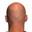 Bald_Head