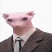 CatWithSuit