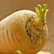 ParsnipOfDoom