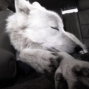 awfmwagiomawgmnwaiuhnahwnwahawhw - steam id 76561199501735227