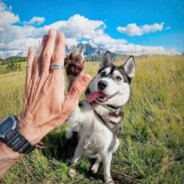 狂踹瘸子那条好腿