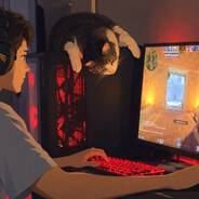 Player avatar
