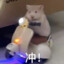 许愿崽崽