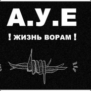 А.У.Е. Жизнь Ворам