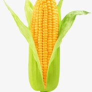 是兄弟就一起麻包谷