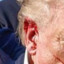 Trumps Ear Hole