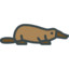 platypus