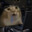 FatPandaAteU