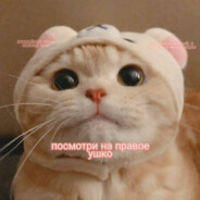 LiMonchik