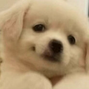 不说话在装高冷