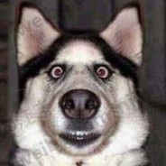 第一交警周星星