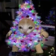 Недоразвитый сап