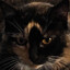 BigSamBlam's avatar