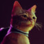 Meowgic