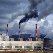 Завод носков