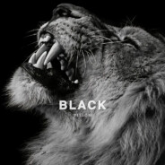 抽查学姐毕设了