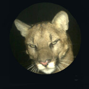 EnigMa0 avatar