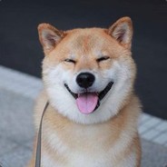 猛鬼街4栋4单元405号住户偷电迈叔(StatTrak™)