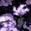 Ashborne