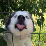 脏艺术家.....•'¯)PUNCHLIN