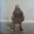 Nimble_pigeon32