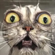 ᴘᴀᴜʟɪᴄᴀ - steam id 76561199009167088