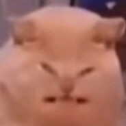 别怕，我打不死人