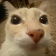 fuark
