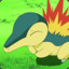 Cyndaquil